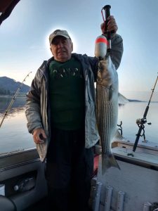 Striped bass, fishing Tennessee,big striped bass