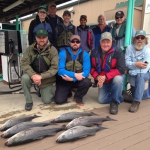 ornl striper 4 2-22-2016 crop