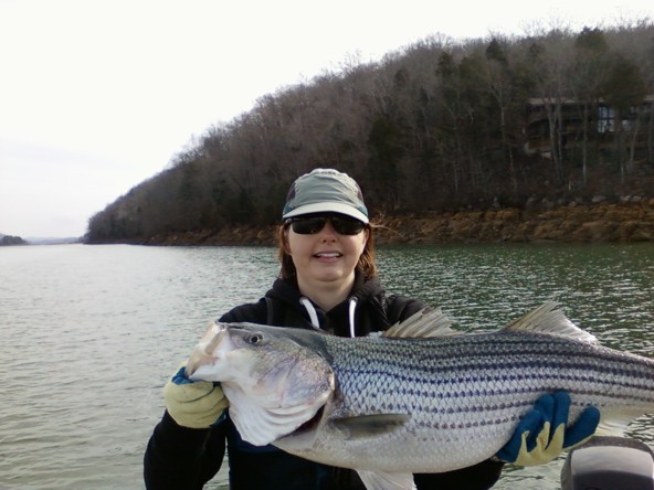 Tennessee Striped Bass Association, TSBA